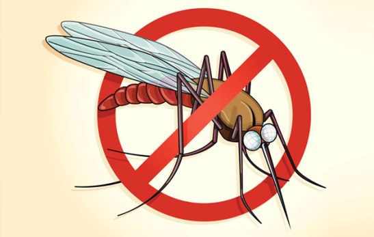 7-Tips-for-Malaria-Prevention