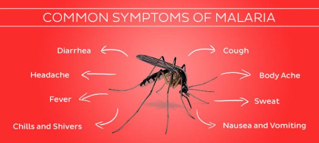 malaria-symptoms
